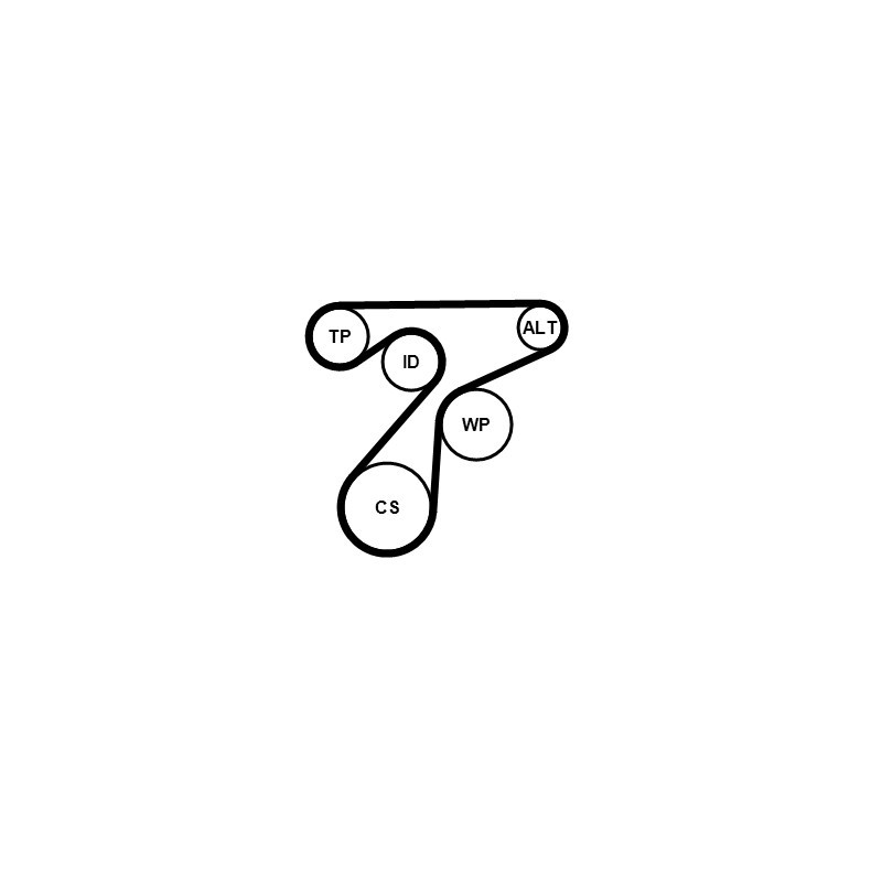 Kit de courroies d'accessoire CONTINENTAL CTAM