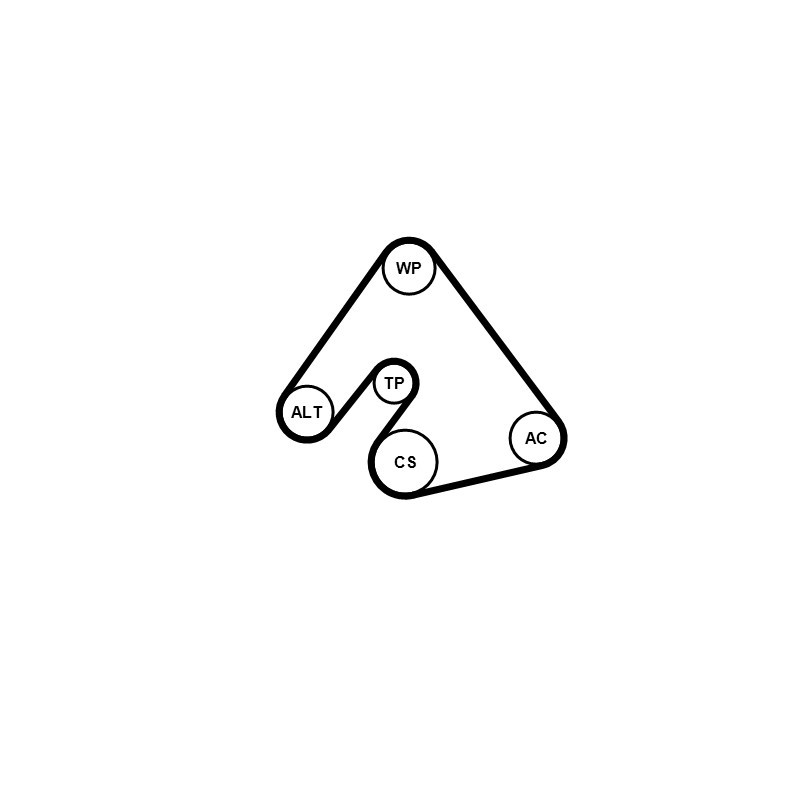 Kit de courroies d'accessoire CONTINENTAL CTAM