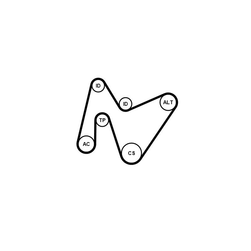 Kit de courroies d'accessoire CONTINENTAL CTAM