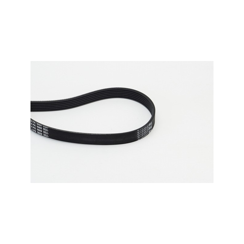 Courroie d'accessoire CONTINENTAL CTAM