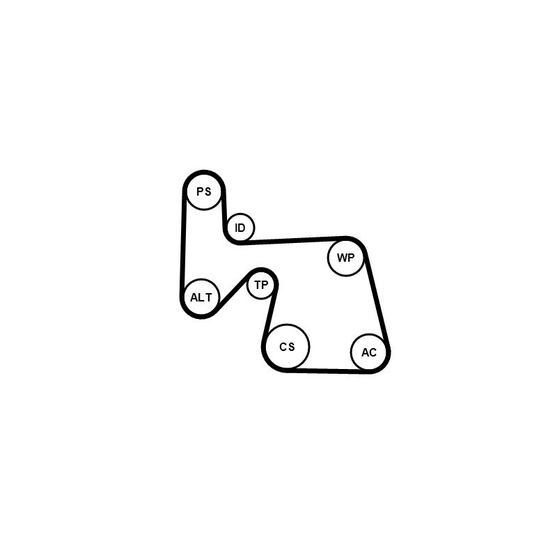 Kit de courroies d'accessoire CONTINENTAL CTAM