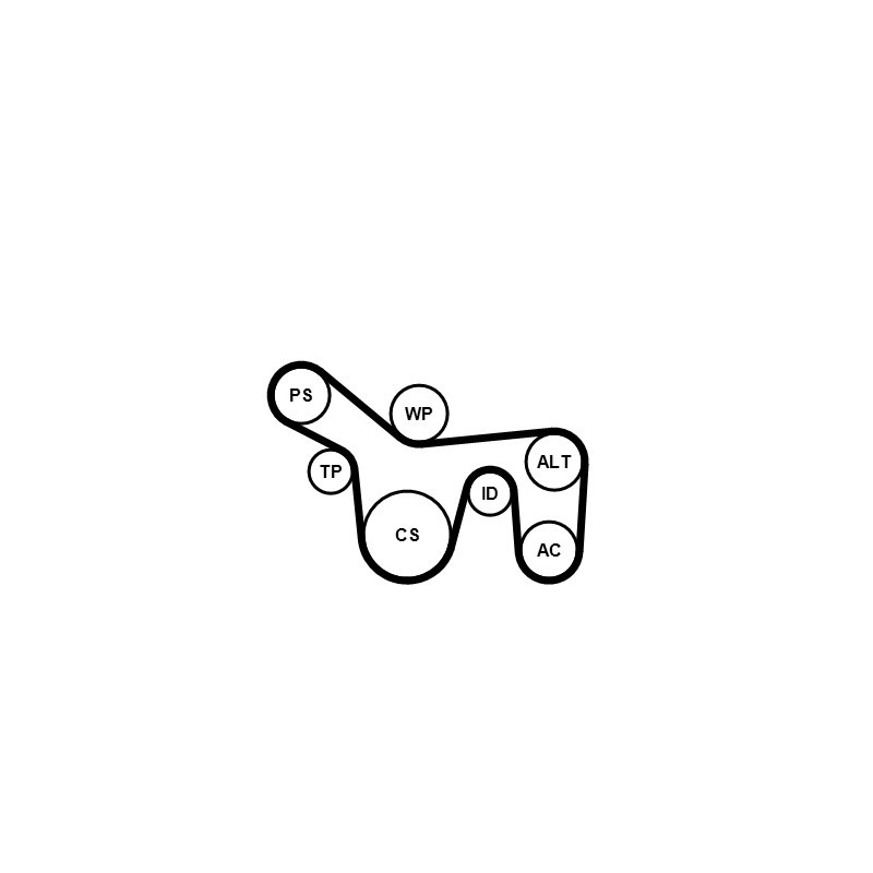 Pompe à eau+Jeu de courroie trapézoïdale à nervures CONTINENTAL CTAM