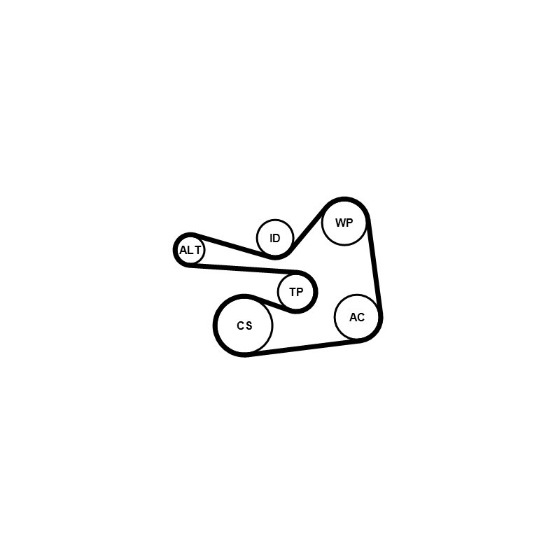 Kit de courroies d'accessoire CONTINENTAL CTAM