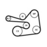 Kit de courroies d'accessoire CONTINENTAL CTAM