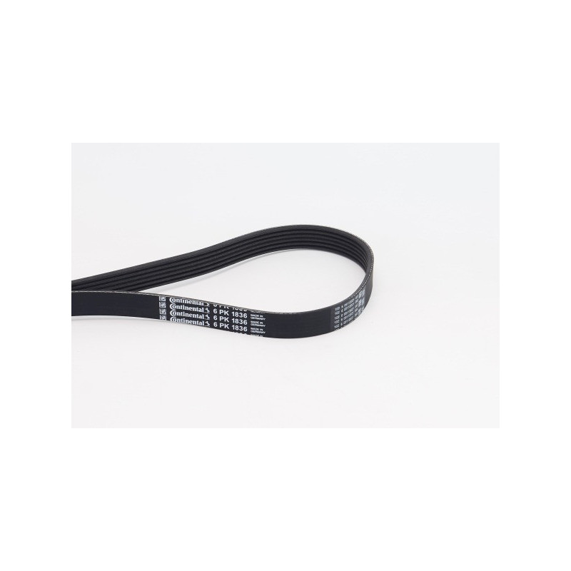 Courroie d'accessoire CONTINENTAL CTAM