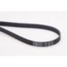 Courroie d'accessoire CONTINENTAL CTAM