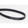 Courroie d'accessoire CONTINENTAL CTAM