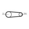 Kit de courroies d'accessoire CONTINENTAL CTAM