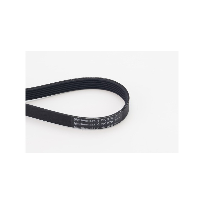 Courroie d'accessoire CONTINENTAL CTAM