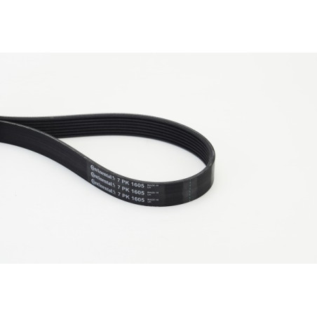 Courroie d'accessoire CONTINENTAL CTAM