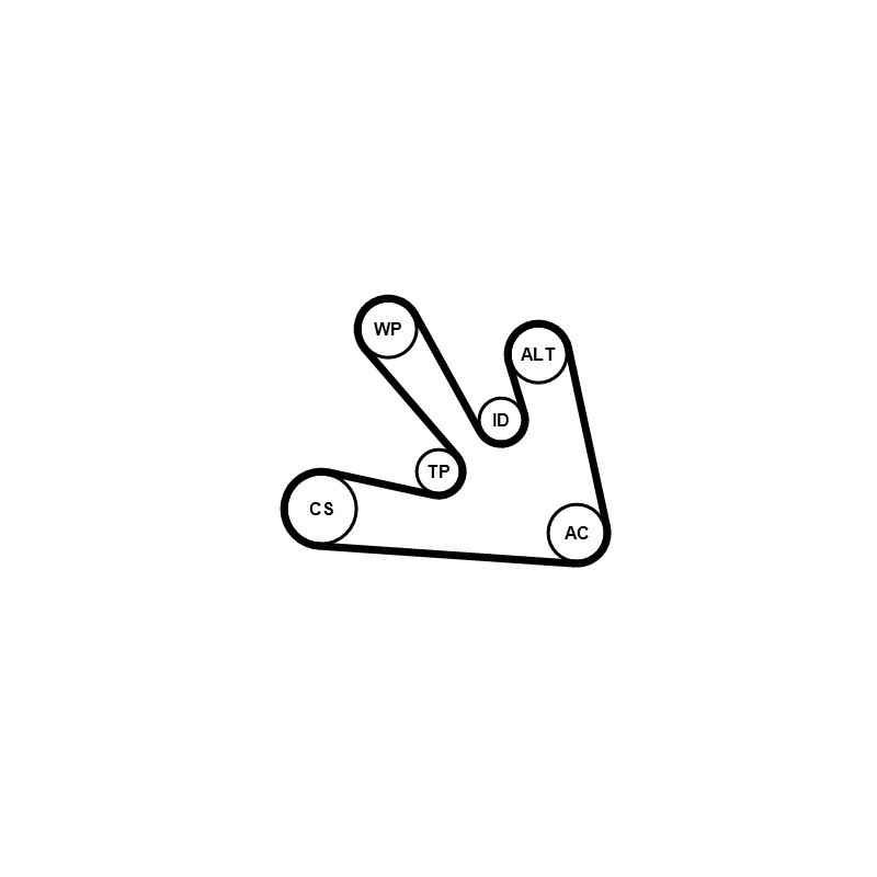 Kit de courroies d'accessoire CONTINENTAL CTAM