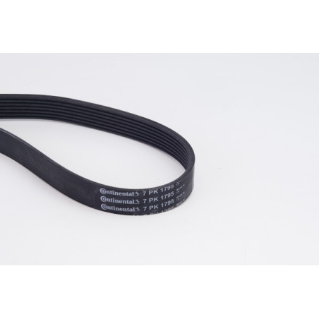 Kit de courroies d'accessoire CONTINENTAL CTAM