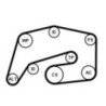 Kit de courroies d'accessoire CONTINENTAL CTAM