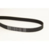 Courroie de distribution CONTINENTAL CTAM
