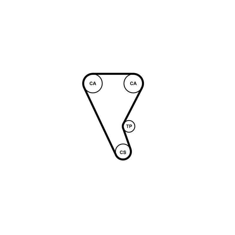 Courroie de distribution CONTINENTAL CTAM