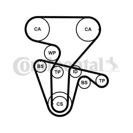 Kit de distribution + pompe à eau CONTINENTAL CTAM