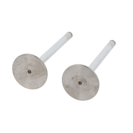 soupape d'admission CORTECO