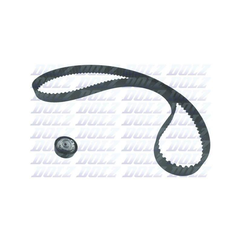 Kit de distribution DOLZ