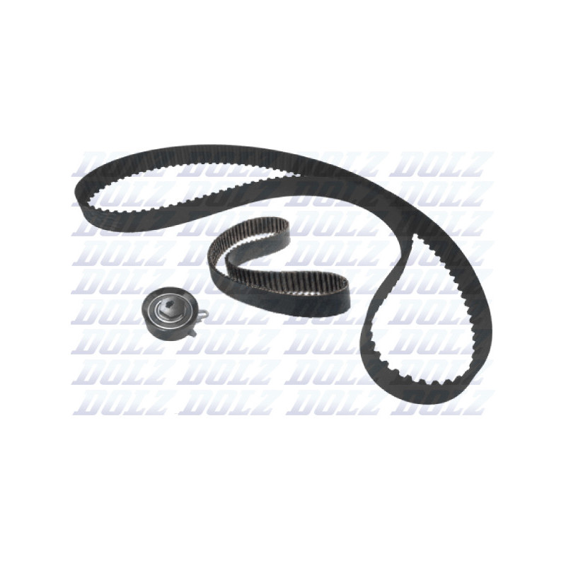 Kit de distribution DOLZ