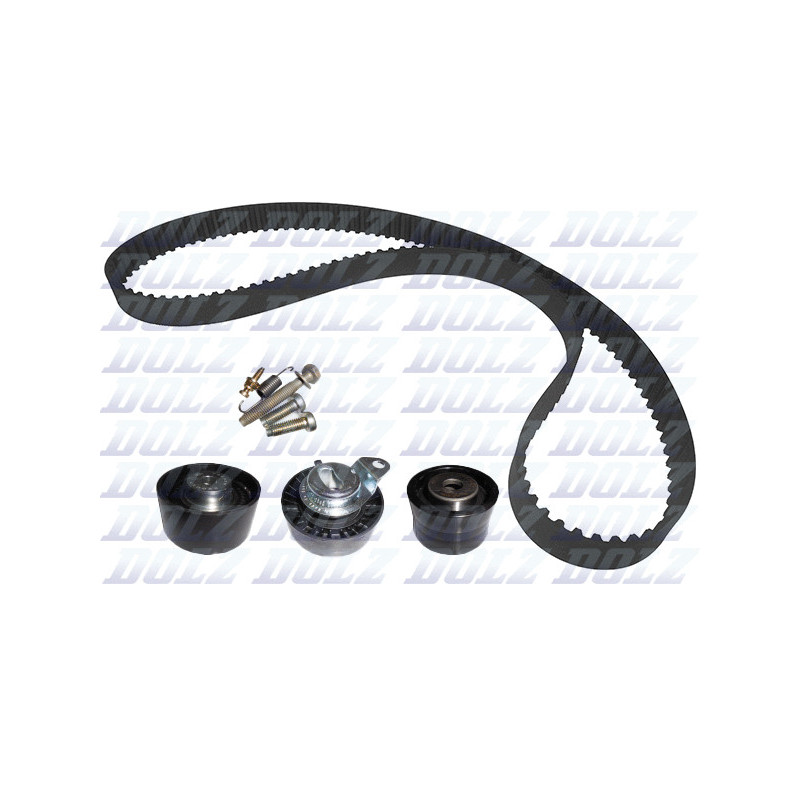 Kit de distribution DOLZ