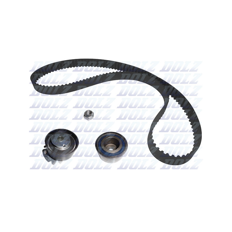 Kit de distribution DOLZ