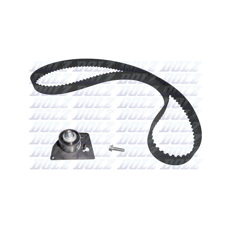 Kit de distribution DOLZ