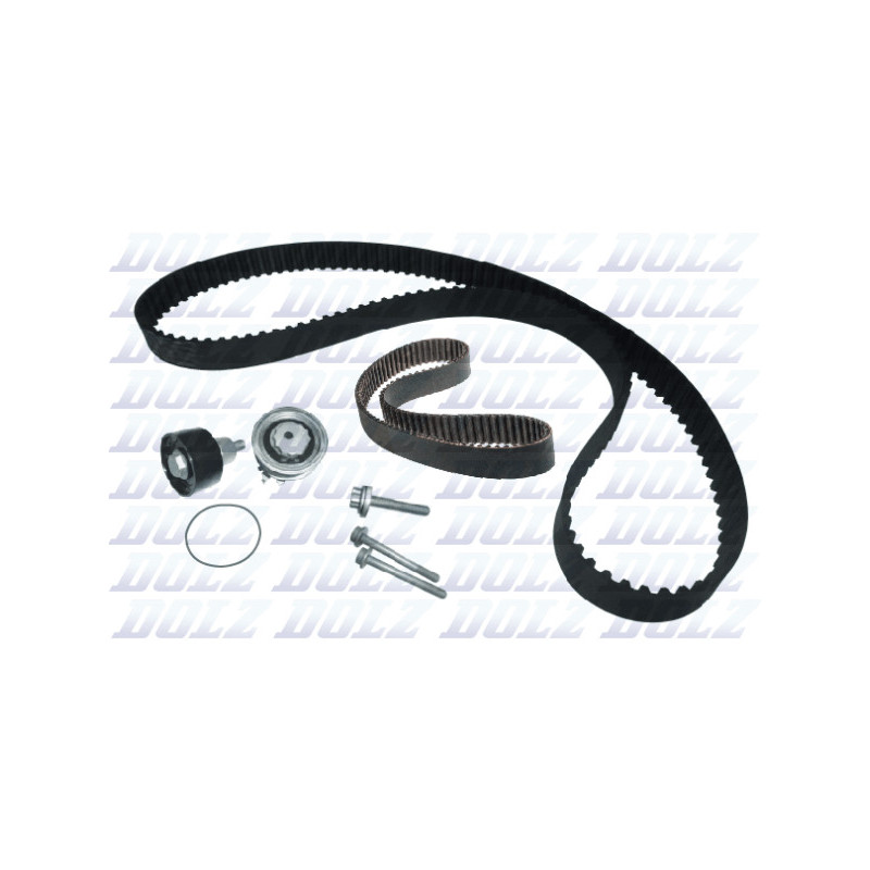 Kit de distribution DOLZ