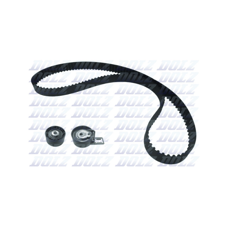 Kit de distribution DOLZ