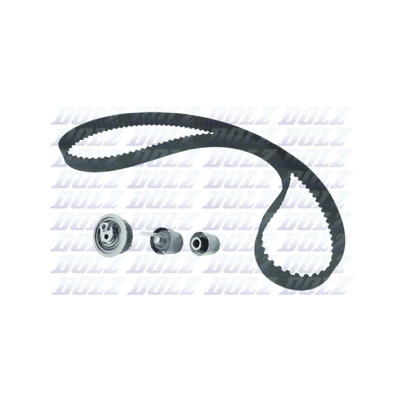 Kit de distribution DOLZ