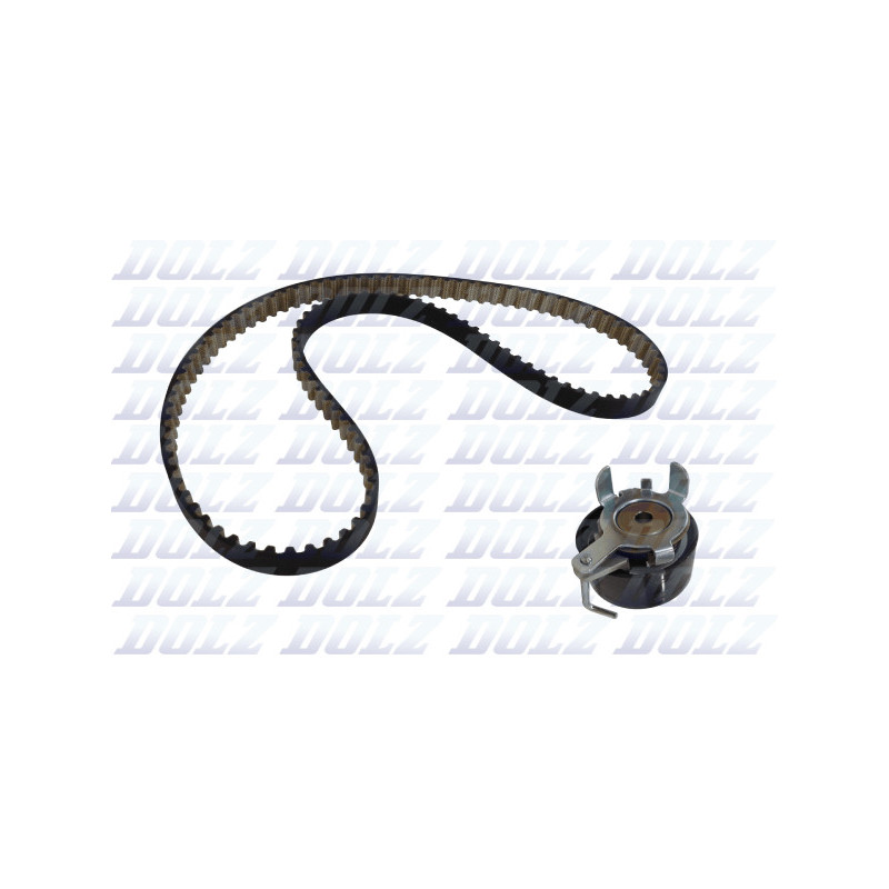 Kit de distribution DOLZ