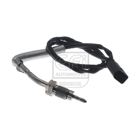 Palpeur (température des...