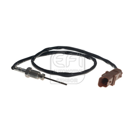 Palpeur (température des gaz) EFI Automotive