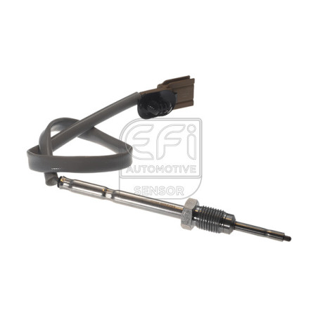 Palpeur (température des...