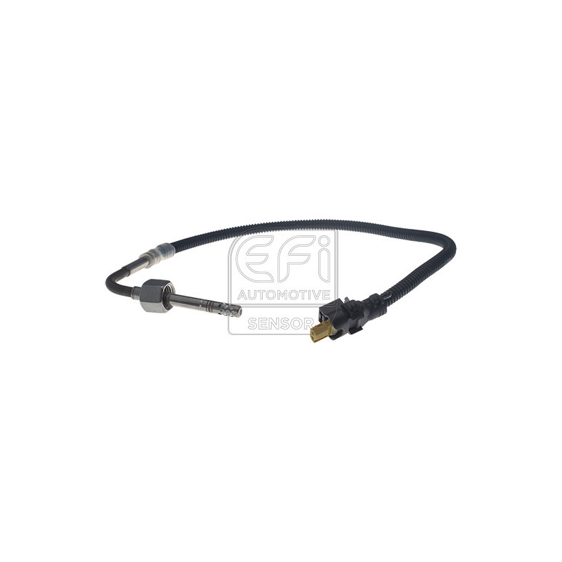 Palpeur (température des gaz) EFI Automotive