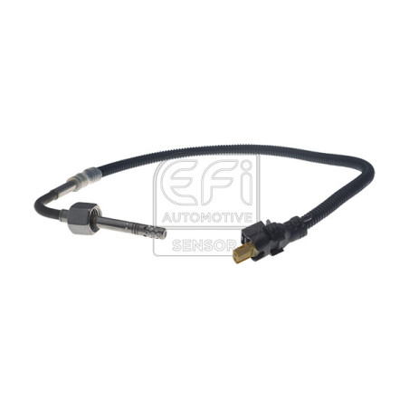Palpeur (température des gaz) EFI Automotive