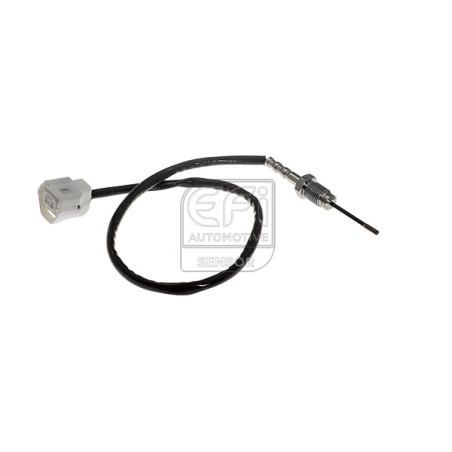 Palpeur (température des...