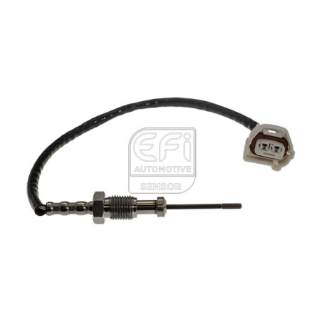 Palpeur (température des...