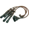 Fils de bougies / Faisceau d'allumage EFI Automotive