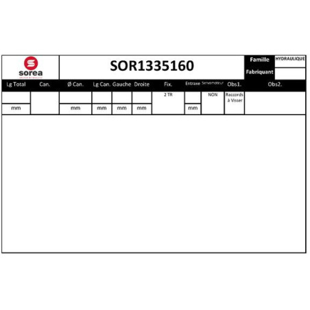 Crémaillère de direction EAI