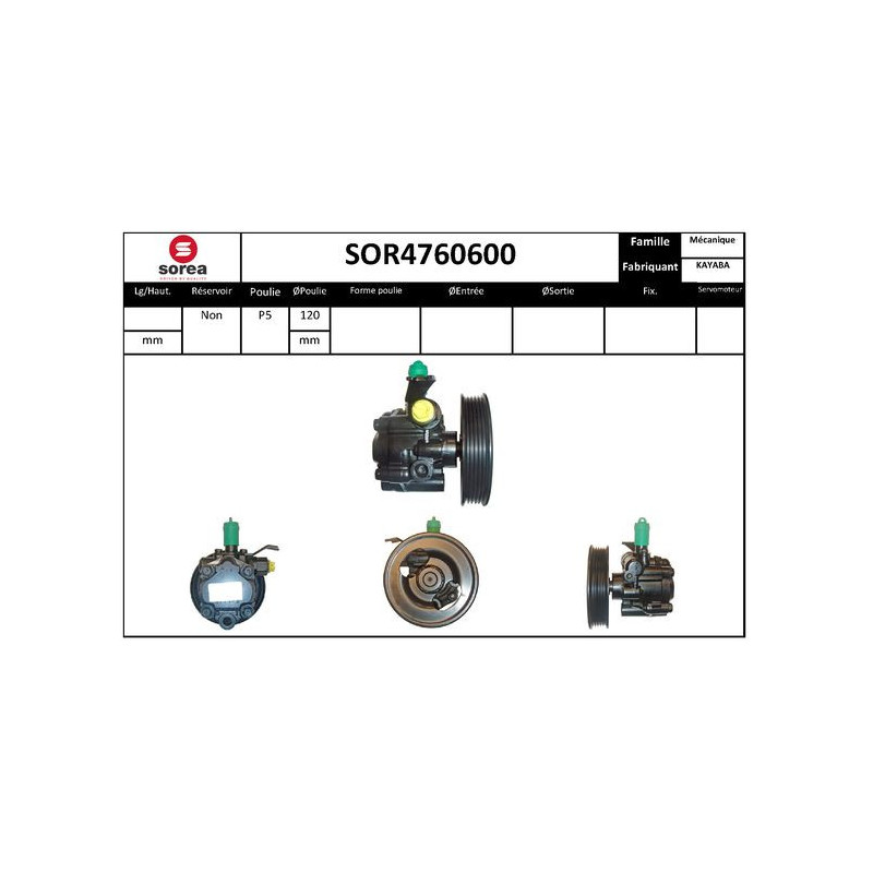 Pompe hydraulique (direction) EAI