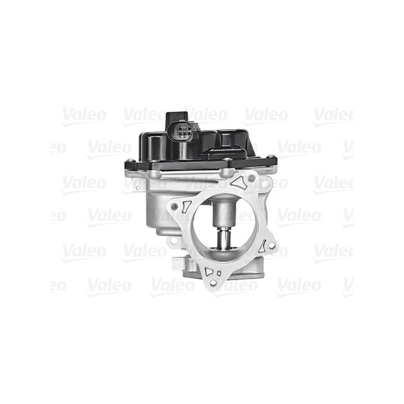VALEO EGR Valve 700458 Without EGR Cooler, With Gaskets/seals - Reduced - View #13