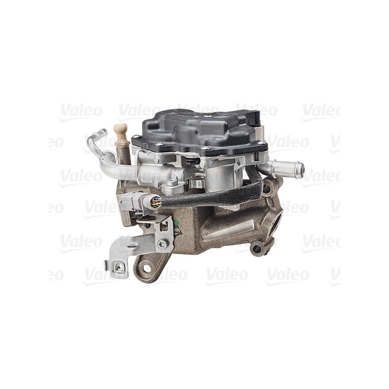 Vanne EGR / AGR VALEO