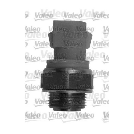 Interrupteur de température...