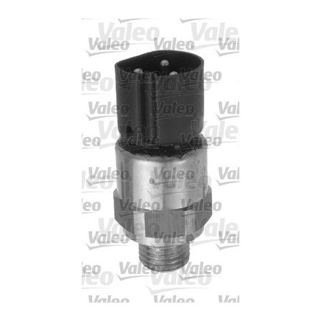 Interrupteur de température...