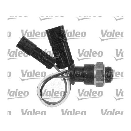 Interrupteur de température...