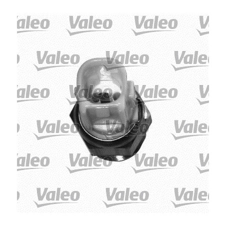 Interrupteur de température...