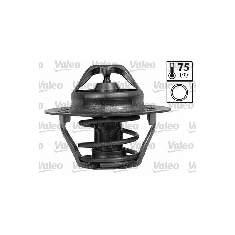Thermostat d'eau VALEO