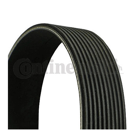 Courroie d'accessoire CONTINENTAL CTAM