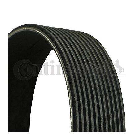 Courroie d'accessoire CONTINENTAL CTAM