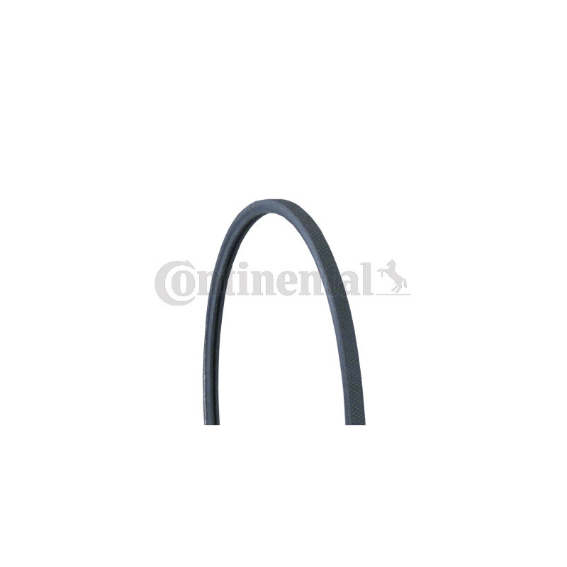 Courroie d'accessoire CONTINENTAL CTAM